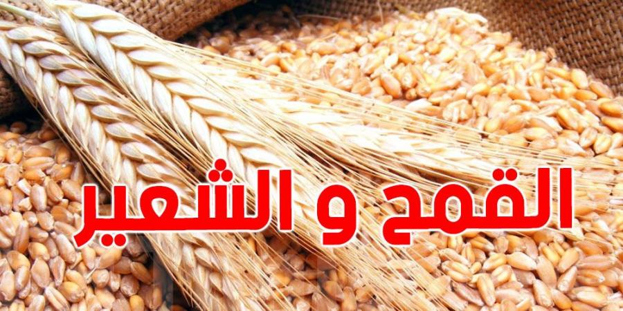 قطاع الحبوب: أرقام حول الموسم الفارط واستعدادات وزارة الفلاحة مستقبلا - اخبارك الان