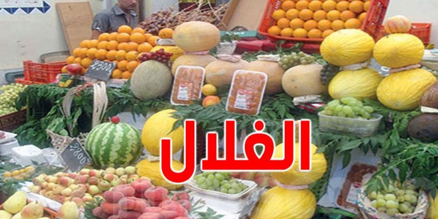 تونس: 3 أسباب وراء إرتفاع أسعار ''الغلّة'' - اخبارك الان