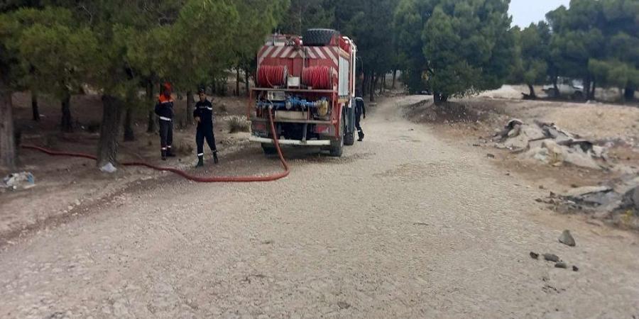 سليانة: السيطرة على حريق جبل برقو على مستوى منطقة الدخيلة - اخبارك الان