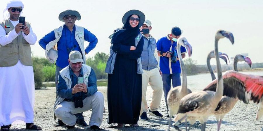 إنقاذ وإعادة إطلاق 10 من طيور الفلامنغو في محمية الوثبة - اخبارك الان