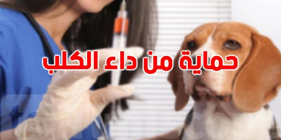 إجراءات الوقاية للحماية من داء الكلب - اخبارك الان