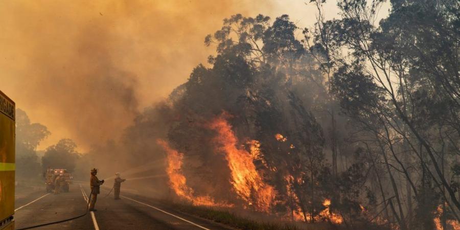 حرائق الغابات في البرتغال تسبب مقتل وإصابة 64 شخصًا - اخبارك الان