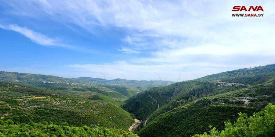 الجو غداً معتدل وفرصة لهطل أمطار في مناطق عدة - اخبارك الان