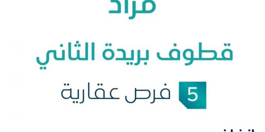 3 فرص عقارية .. مزاد عقاري جديد من مؤسسة القرعاوي للاستثمارات العقارية في بريدة - اخبارك الان