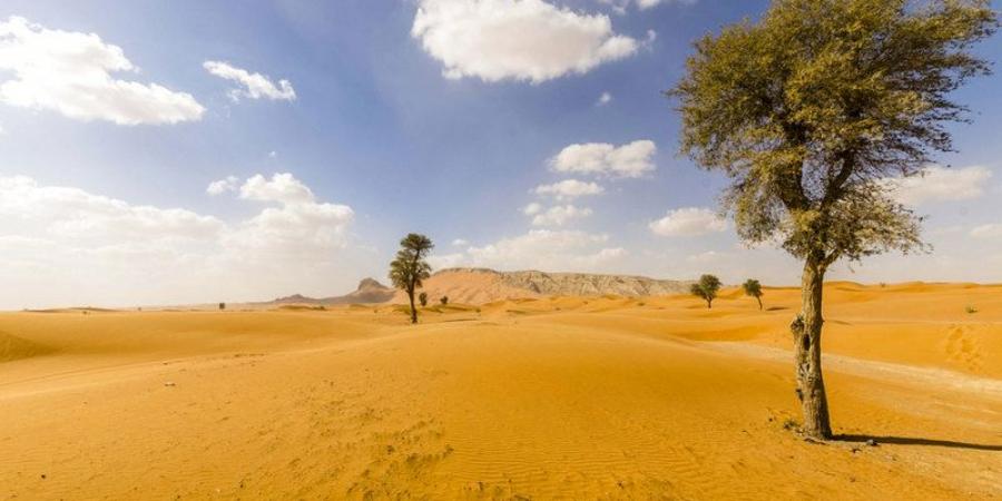 "فلكية جدة": اليوم نهاية فصل الصيف - اخبارك الان