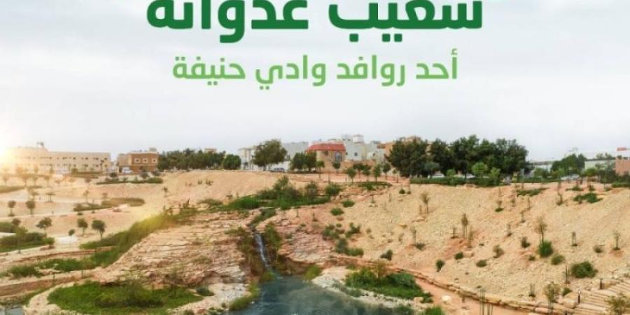 برنامج الرياض الخضراء يعلن افتتاح تطوير شعيب غذوانة أحد روافد وادي حنيفة بعد تأهيله وتشجيره - اخبارك الان