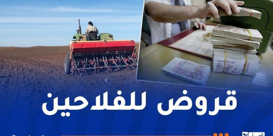 حملة الحرث والبذر.. بيان هام من الديوان المهني للحبوب - اخبارك الان