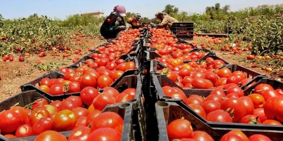 عاجل: الاردن يرفض تصدير الخضار والفواكه الى الكيان الصهيوني - اخبارك الان