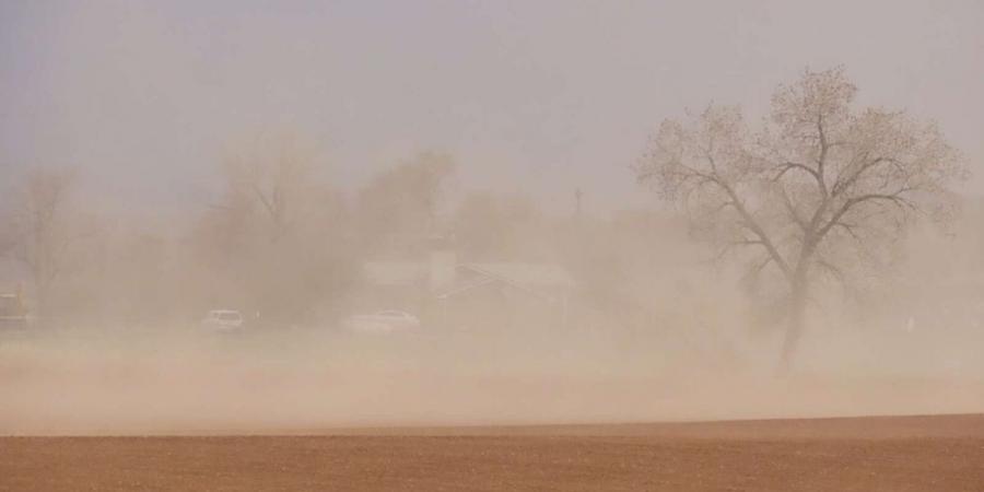 طقس المساء.. أتربة مثارة على أجزاء من الرياض - اخبارك الان