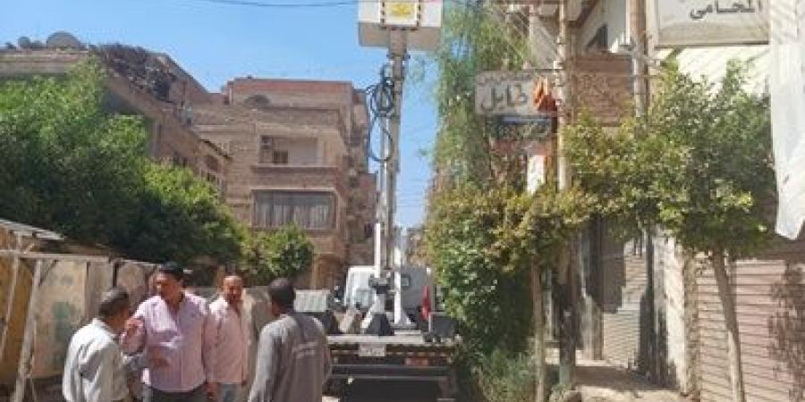 أبو حطب : تهذيب الأشجار وإنارة شوارع قويسنا محافظة المنوفية - اخبارك الان