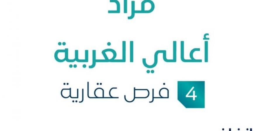 4 فرص عقارية .. مزاد عقاري جديد من مؤسسة محمد أحمد بازرعة التجارية في مكة المكرمة - اخبارك الان