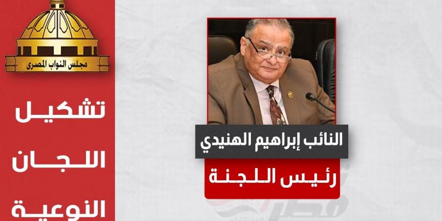 تغيرات بسيطة بالاقتصادية والشباب والرياضة ..التشكيل الكامل لهيئات مكاتب 25 لجنة نوعية بمجلس النواب لدور الانعقاد الخامس - اخبارك الان