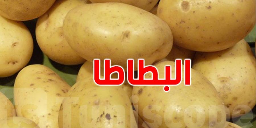 الانطلاق في توزيع المخزون التعديلي لمادة البطاطا بولاية نابل - اخبارك الان