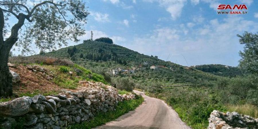 طقس الغد.. الحرارة أعلى من معدلاتها والجو بين الصحو والغائم جزئياً - اخبارك الان