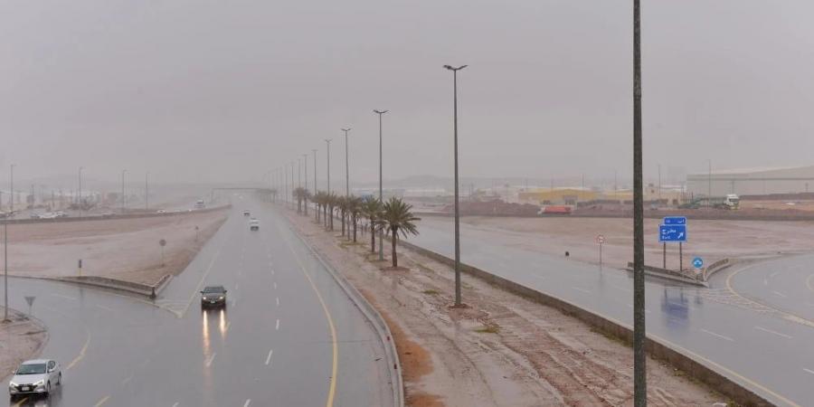 أمطار رعدية غزيرة ورياح نشطة.. تفاصيل حالة الطقس اليوم - اخبارك الان