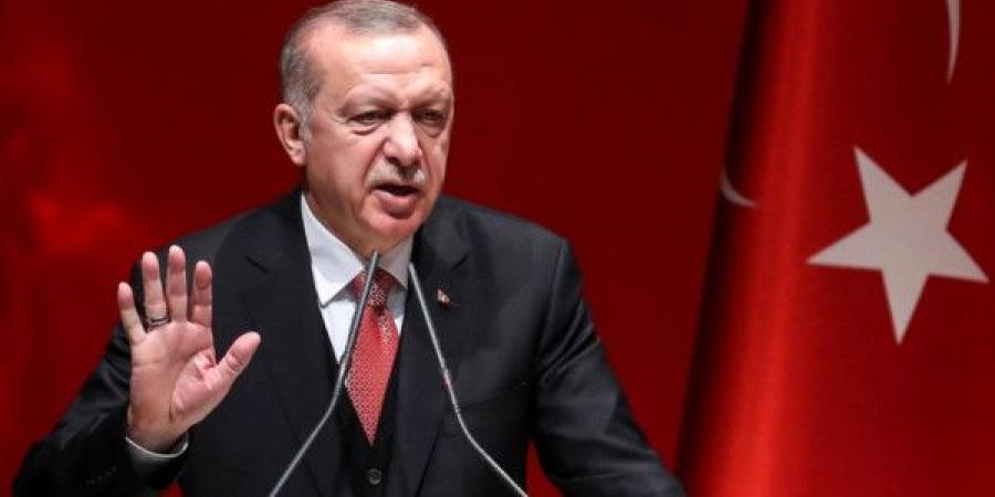 أردوغان: النّهج الإسرائيلي العنيف وسفك الدماء في غزة غير مجدٍ - اخبارك الان