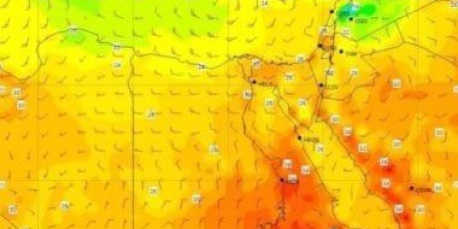 الأرصاد الجوية عن حالة الطقس اليوم: انخفاض طفيف فى درجات الحرارة.. فيديو - اخبارك الان