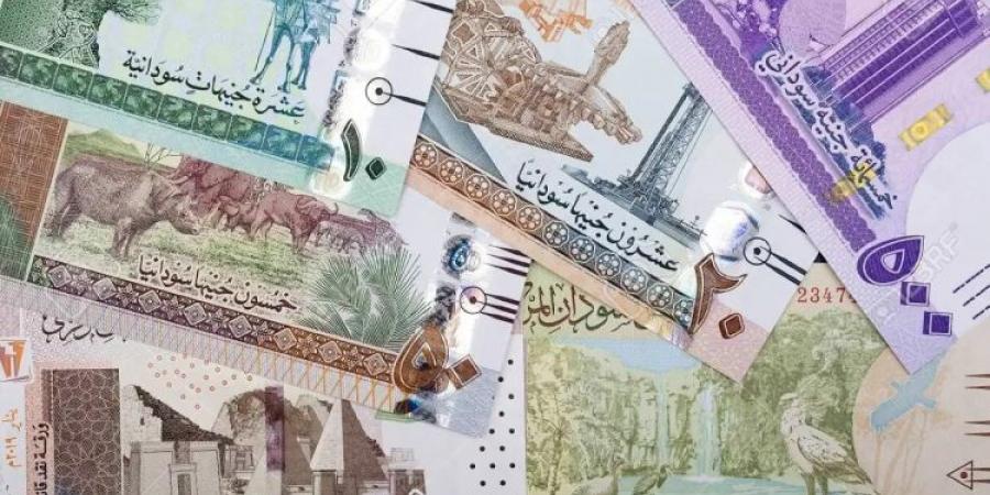 سعر الجنيه السوداني مقابل الريال السعودي اليوم الأحد 15 ديسمبر 2024 .. وصل لهذه المستويات - اخبارك الان