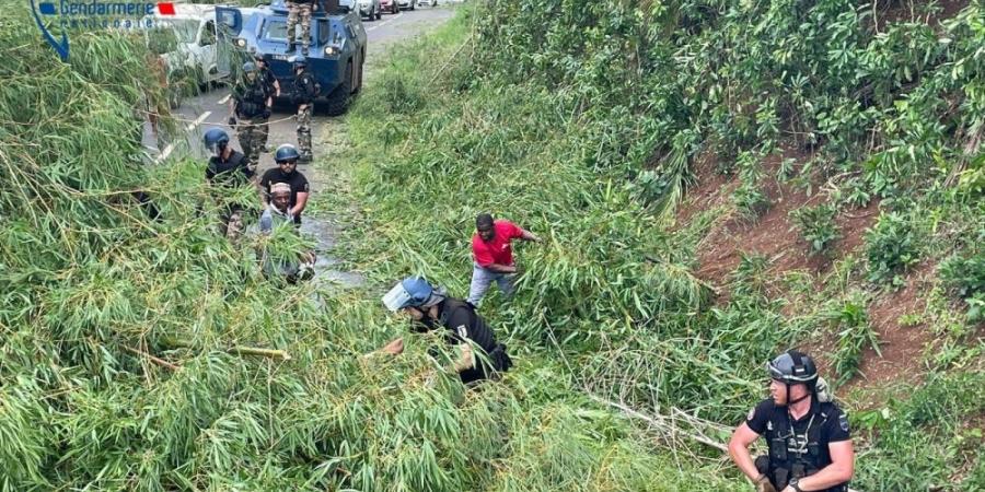 صور| ساعات حرجة للبحث عن ناجين بعد إعصار شيدو في مايوت الفرنسية - اخبارك الان