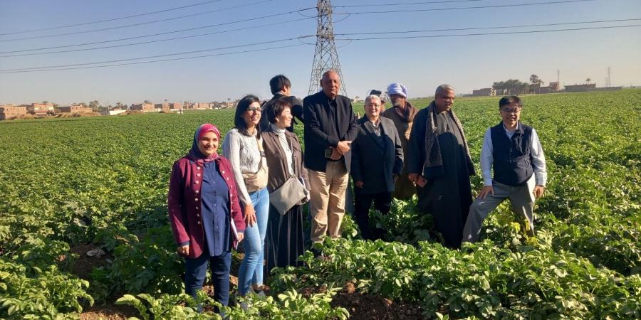 محافظ أسيوط وفد من الجايكا اليابانية يزور المحافظة - اخبارك الان