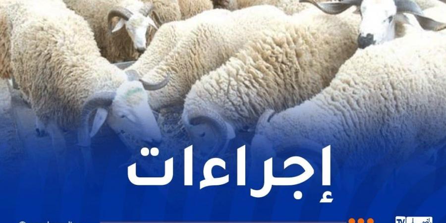 وزير الفلاحة يحسم الجدل.. هذه أسباب منع دخول المواشي للجنوب - اخبارك الان