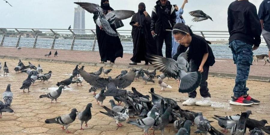 أجواء جدة الماطرة تنعش الأهالي والزوار للتنزه - اخبارك الان