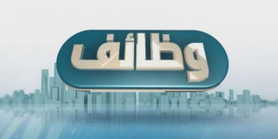 وظائف بنك القاهرة 2024.. لو عايز تشتغل في مؤسسة حكومية - اخبارك الان