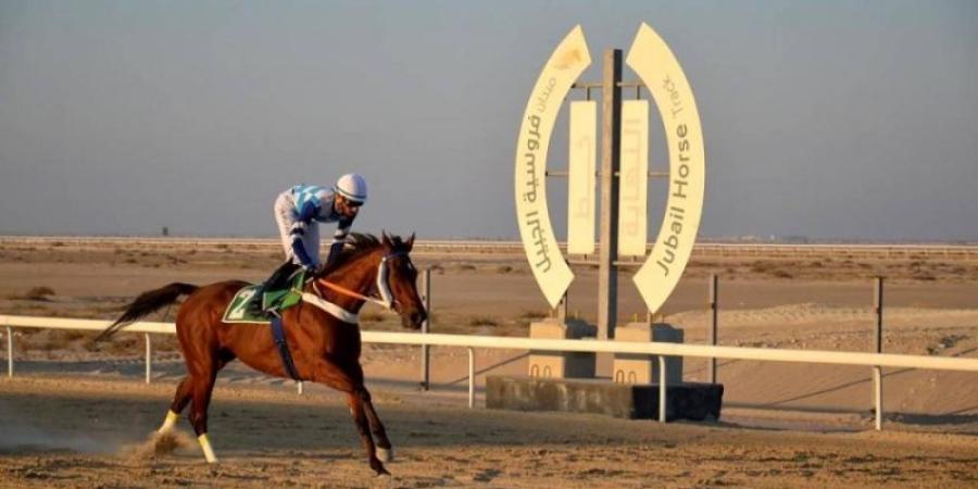 ميدان فروسية الجبيل يقيم سباقه الثامن للموسم الحالي - اخبارك الان