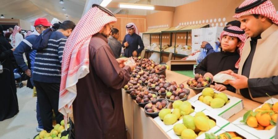 رقم قياسي.. مهرجان الحمضيات يسجّل حضور أكثر من 70 ألف زائر - اخبارك الان