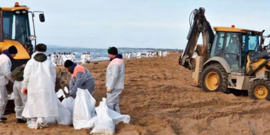 العثور على 30 حوتًا نافقًا في البحر الأسود بعد انسكاب نفطي - اخبارك الان