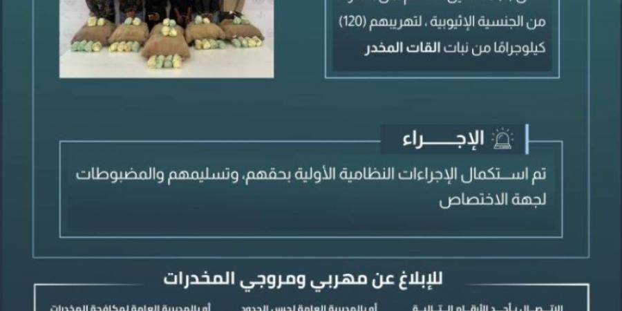 حرس الحدود بعسير يقبض على (6) مخالفين لتهريبهم (120) كيلوجرامًا من القات المخدر - اخبارك الان