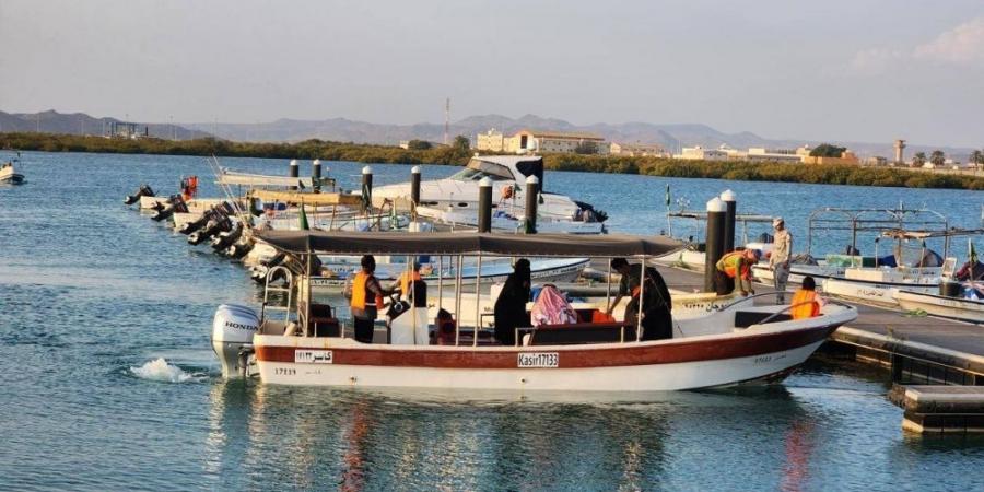 انطلاق المهرجان الأول للأسماك في عسير - اخبارك الان