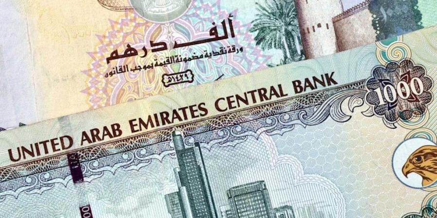 سعر الدرهم الإماراتي مقابل الجنيه المصري اليوم السبت 11 يناير 2025 - اخبارك الان