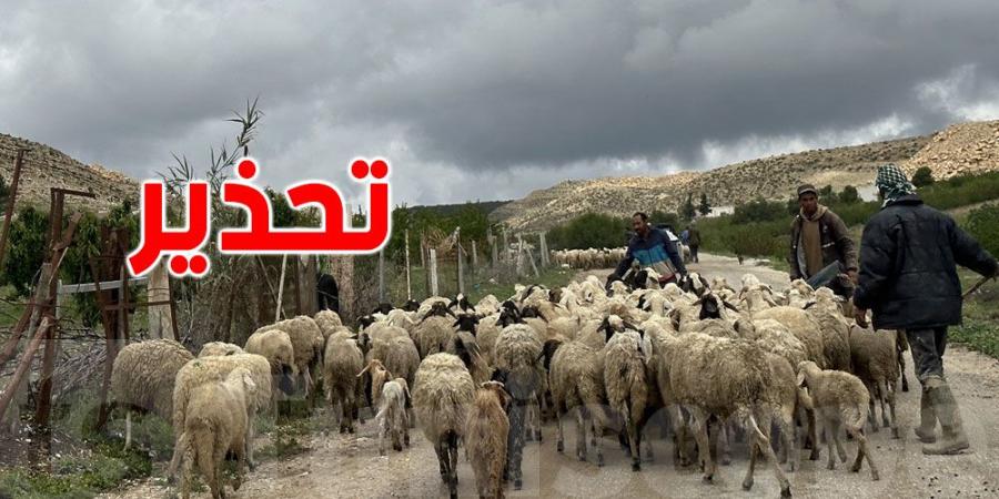 تزامنا مع التقلّبات الجوّية: وزارة الفلاحة تُحذّر - اخبارك الان