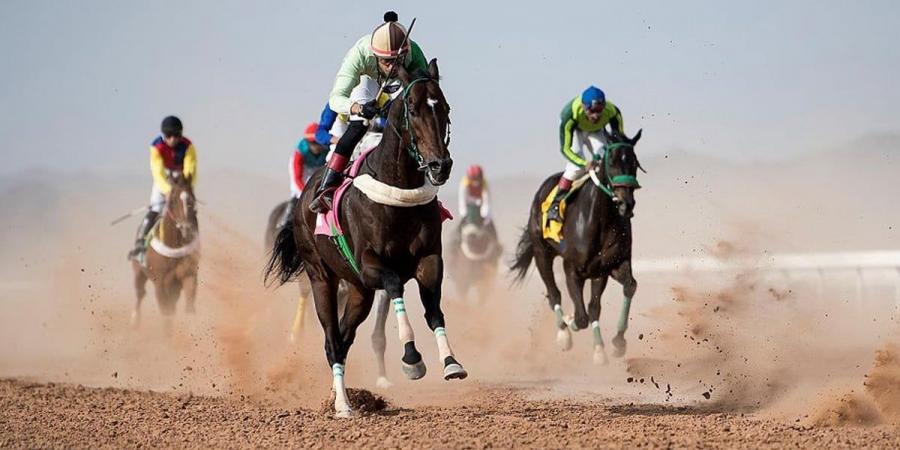 ميدان سباقات الخيل بنجران يُنظم اليوم حفل سباقه الرابع للموسم الحالي - اخبارك الان