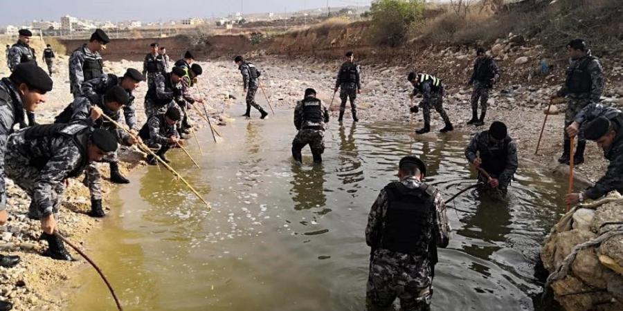 "اتصل بزوجته ليخبرها بقتله لطفليهما" .. "سرايا" تنفرد بنشر تفاصيل جديدة صادمة عن جريمة "سيل الزرقاء" - اخبارك الان