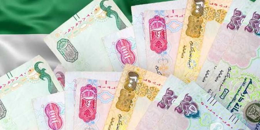 سعر الدرهم الإماراتي اليوم الثلاثاء 14-1-2025 - اخبارك الان