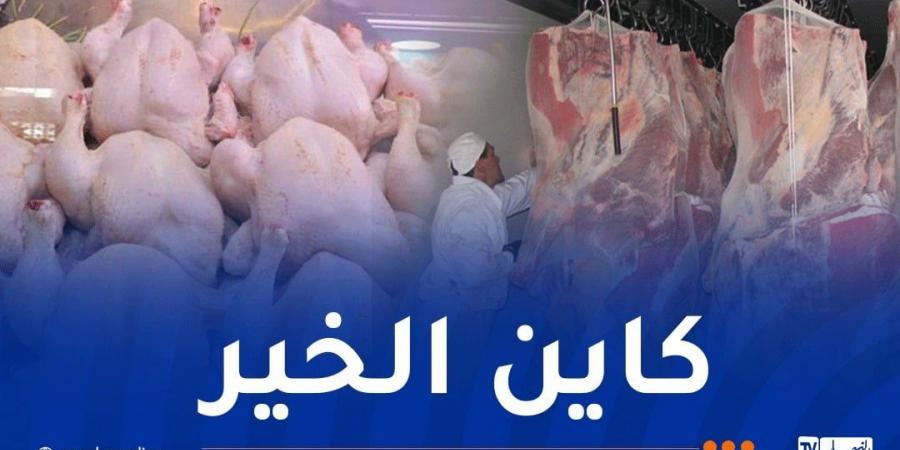 إستيراد 13 ألف طن من اللحوم الحمراء و15 ألف طن دجاج تحسبا لرمضان - اخبارك الان