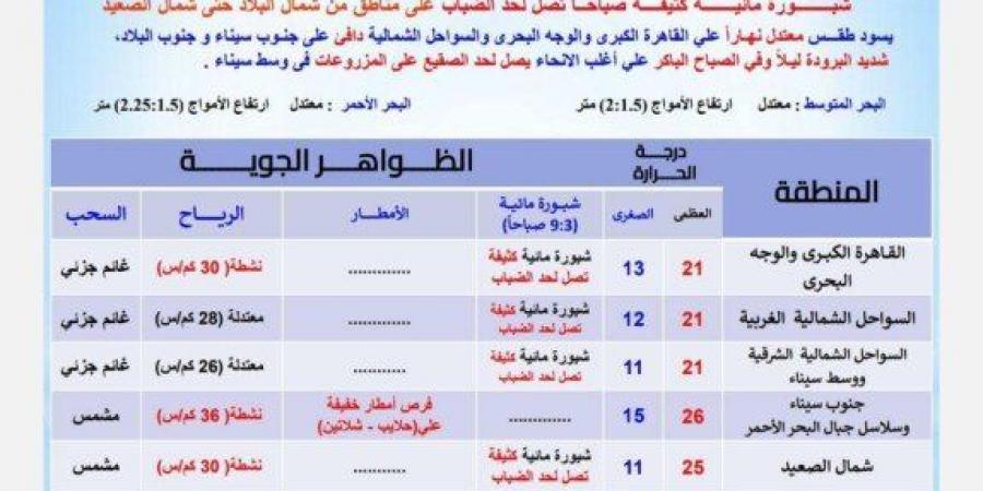 «احذرِ الشبورة».. بيان عاجل من الأرصاد بشأن حالة الطقس اليوم الخميس 16 يناير 2025 - اخبارك الان