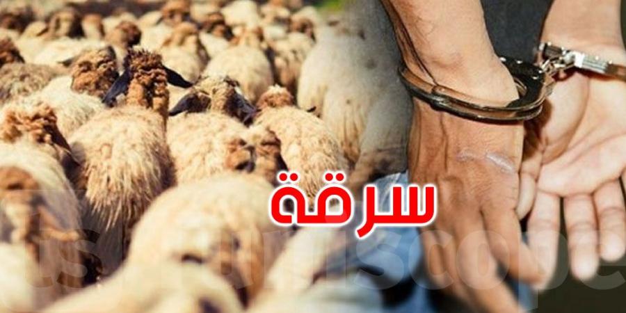 الكاف: الكشف عن عملية سرقة مواشي واسترجاع كامل القطيع - اخبارك الان