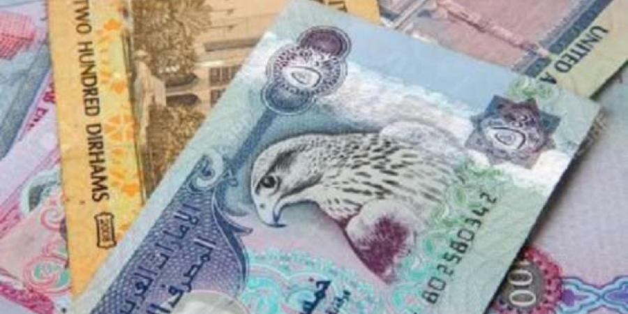 سعر الدرهم الإماراتي اليوم السبت 18-1-2025 مقابل الجنيه المصري - اخبارك الان