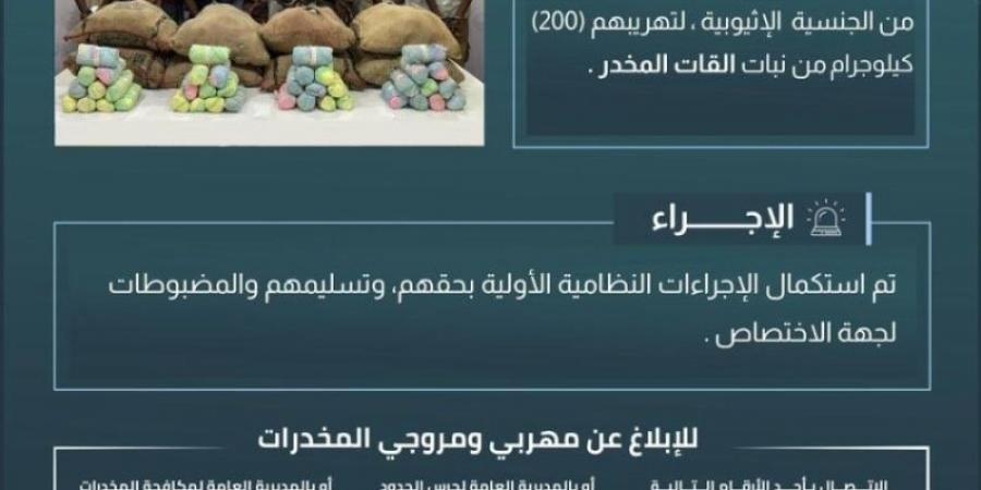 حرس الحدود بعسير يقبض على (8) مخالفين لتهريبهم (200) كيلوجرام من القات المخدر - اخبارك الان