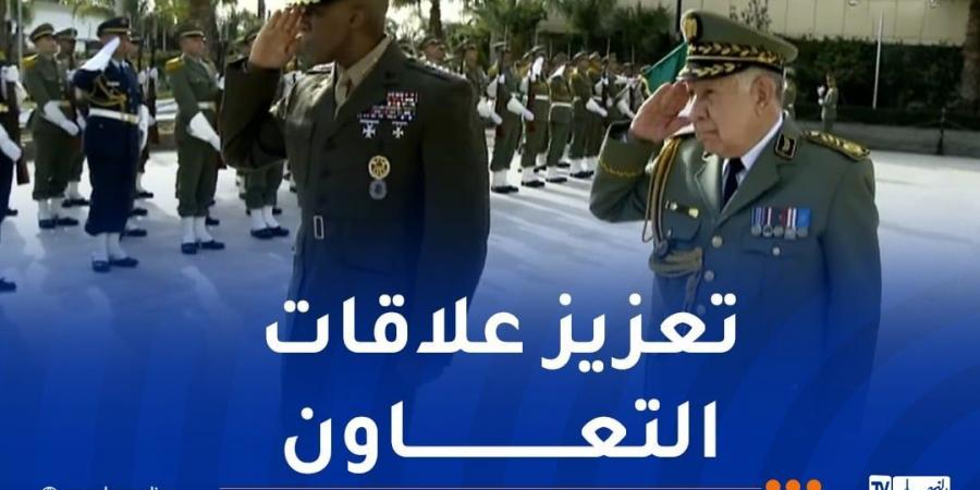 شنقريحة: تعزيز علاقات التعاون في مجالي الأمن والدفاع مع أمريكا - اخبارك الان