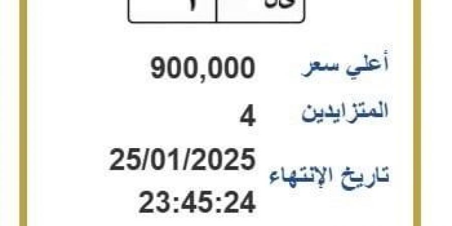 وصل سعرها إلى 900 ألف جنيه.. لوحة معدنية مميزة يتنافس عليها 4 أشخاص - اخبارك الان