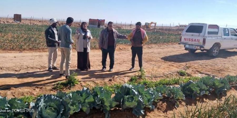 فرق بحثية من مركز بحوث الصحراء تقدم الدعم الفني والإرشادي للمزارعين في...اليوم السبت، 1 فبراير 2025 10:24 صـ   منذ 22 دقيقة - اخبارك الان