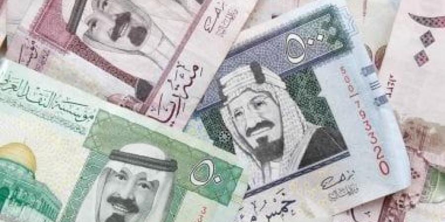 سعر الريال السعودى اليوم السبت 1-2-2025.. فى البنك الأهلى بـ13.33 جنيه - اخبارك الان