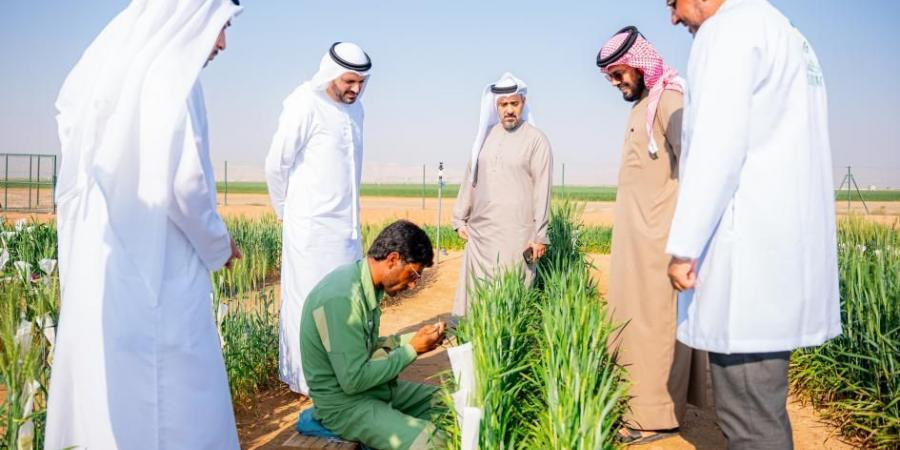 وفد حكومي يطلع على استراتيجية تحسين القمح بالشارقة - اخبارك الان