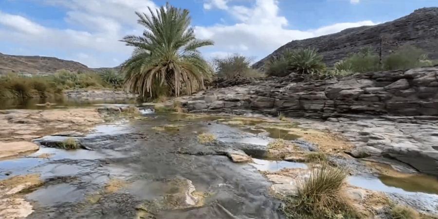 وادي خضرة.. واحة خضراء تتزين بالنخيل - اخبارك الان