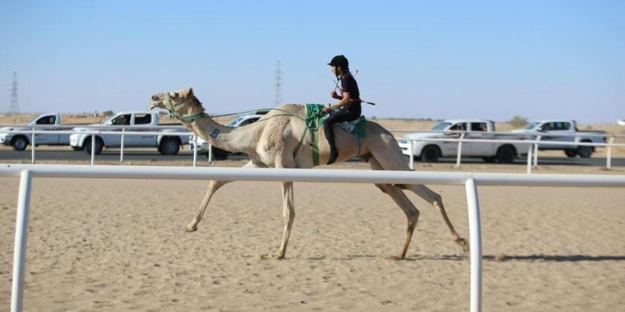 سعودي وقطري وإماراتي يتنافسون على "سيف السعودية" - اخبارك الان