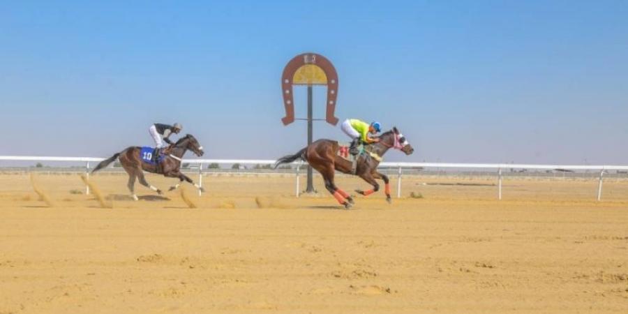 ميدان الفروسية بالأحساء ينظم شوط الفارسات لسباق السرعة - اخبارك الان